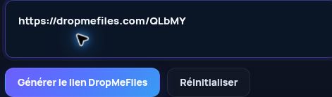 Véritable lien DropMeFiles.com dans le champ MultiDebrid. Ouvrez pour agrandir.