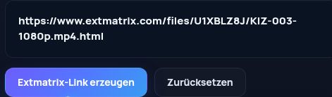 Echter Extmatrix.com-Link im MultiDebrid-Eingabefeld. Zum Vergrößern öffnen.