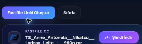 Gerçek Fastfile.cc sonucu: dosya adı, boyut ve sonraki işlem. Büyütmek için aç.