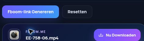 Echt Fboom.me-resultaat: bestandsnaam, grootte en volgende actie. Open om te vergroten.