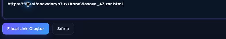 MultiDebrid kutusuna yapıştırılmış gerçek File.al bağlantısı. Büyütmek için aç.