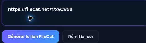Véritable lien FileCat.net dans le champ MultiDebrid. Ouvrez pour agrandir.