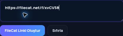 MultiDebrid kutusuna yapıştırılmış gerçek FileCat.net bağlantısı. Büyütmek için aç.