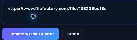 MultiDebrid kutusuna yapıştırılmış gerçek Filefactory.com bağlantısı. Büyütmek için aç.