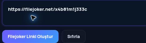 MultiDebrid kutusuna yapıştırılmış gerçek Filejoker.net bağlantısı. Büyütmek için aç.