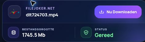 Echt Filejoker.net-resultaat: bestandsnaam, grootte en volgende actie. Open om te vergroten.