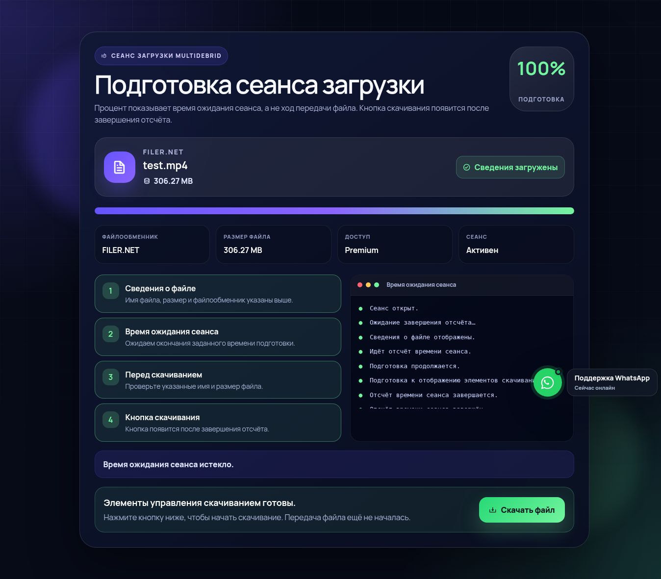 Реальный сеанс скачивания Filer.net. Откройте для увеличения.