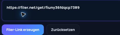 Echter Filer.net-Link im MultiDebrid-Eingabefeld. Zum Vergrößern öffnen.