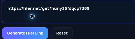 Real Filer.net link in the MultiDebrid input. Open to enlarge.
