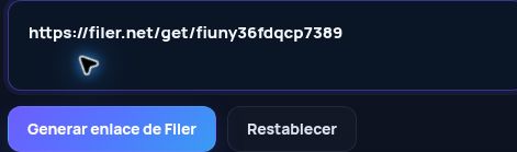 Enlace real de Filer.net en el campo de MultiDebrid. Ábrelo para ampliar.