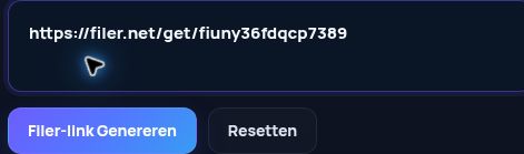 Echte Filer.net-link in het MultiDebrid-invoerveld. Open om te vergroten.