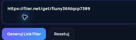 Prawdziwy link Filer.net w polu MultiDebrid. Otwórz, aby powiększyć.