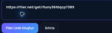 MultiDebrid kutusuna yapıştırılmış gerçek Filer.net bağlantısı. Büyütmek için aç.