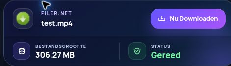 Echt Filer.net-resultaat: bestandsnaam, grootte en volgende actie. Open om te vergroten.