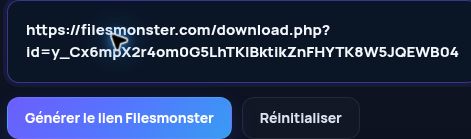Véritable lien Filesmonster.com dans le champ MultiDebrid. Ouvrez pour agrandir.