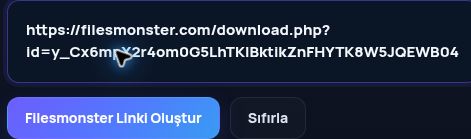 MultiDebrid kutusuna yapıştırılmış gerçek Filesmonster.com bağlantısı. Büyütmek için aç.