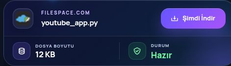 Gerçek Filespace.com sonucu: dosya adı, boyut ve sonraki işlem. Büyütmek için aç.