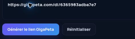 Véritable lien GigaPeta.com dans le champ MultiDebrid. Ouvrez pour agrandir.