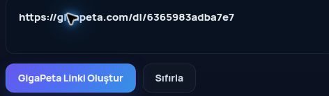 MultiDebrid kutusuna yapıştırılmış gerçek GigaPeta.com bağlantısı. Büyütmek için aç.