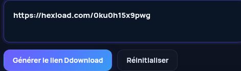 Véritable lien Hexload.com dans le champ MultiDebrid. Ouvrez pour agrandir.