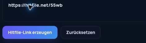 Echter Hitfile.net-Link im MultiDebrid-Eingabefeld. Zum Vergrößern öffnen.