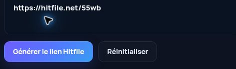 Véritable lien Hitfile.net dans le champ MultiDebrid. Ouvrez pour agrandir.