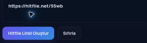MultiDebrid kutusuna yapıştırılmış gerçek Hitfile.net bağlantısı. Büyütmek için aç.