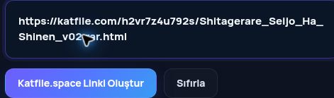 MultiDebrid kutusuna yapıştırılmış gerçek Katfile.space bağlantısı. Büyütmek için aç.