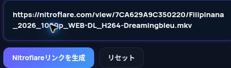 MultiDebridの入力欄に貼り付けた実際のNitroflare.comリンク。開くと拡大できます。