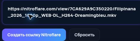 Настоящая ссылка Nitroflare.com в поле MultiDebrid. Откройте для увеличения.