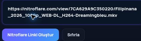 MultiDebrid kutusuna yapıştırılmış gerçek Nitroflare.com bağlantısı. Büyütmek için aç.
