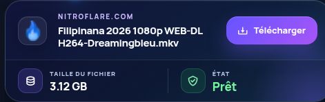 Résultat réel pour Nitroflare.com : nom, taille et action suivante. Ouvrez pour agrandir.