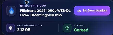 Echt Nitroflare.com-resultaat: bestandsnaam, grootte en volgende actie. Open om te vergroten.