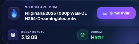 Gerçek Nitroflare.com sonucu: dosya adı, boyut ve sonraki işlem. Büyütmek için aç.