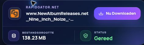 Echt Rapidgator.net-resultaat: bestandsnaam, grootte en volgende actie. Open om te vergroten.