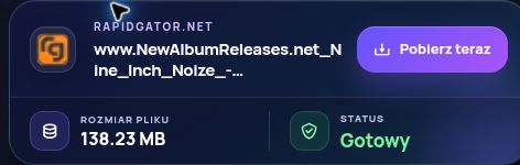 Prawdziwy wynik Rapidgator.net: nazwa, rozmiar i następna czynność. Otwórz, aby powiększyć.