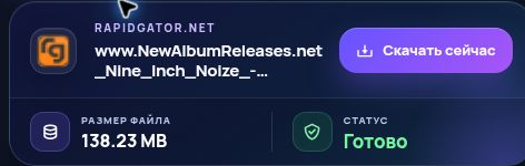 Реальный результат Rapidgator.net: имя, размер и следующее действие. Откройте для увеличения.