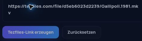 Echter Tezfiles.com-Link im MultiDebrid-Eingabefeld. Zum Vergrößern öffnen.