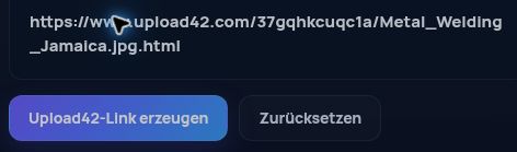 Echter Upload42.com-Link im MultiDebrid-Eingabefeld. Zum Vergrößern öffnen.