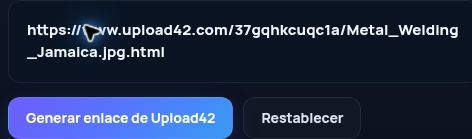 Enlace real de Upload42.com en el campo de MultiDebrid. Ábrelo para ampliar.