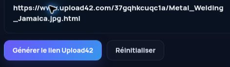 Véritable lien Upload42.com dans le champ MultiDebrid. Ouvrez pour agrandir.