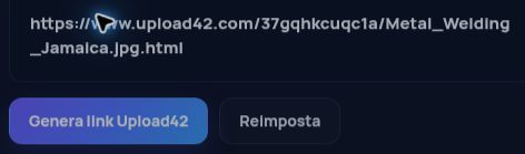Link Upload42.com reale nel campo MultiDebrid. Apri per ingrandire.