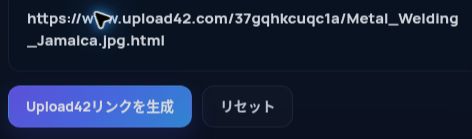 MultiDebridの入力欄に貼り付けた実際のUpload42.comリンク。開くと拡大できます。