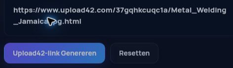 Echte Upload42.com-link in het MultiDebrid-invoerveld. Open om te vergroten.