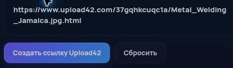 Настоящая ссылка Upload42.com в поле MultiDebrid. Откройте для увеличения.
