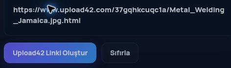 MultiDebrid kutusuna yapıştırılmış gerçek Upload42.com bağlantısı. Büyütmek için aç.