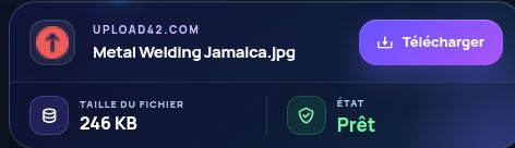 Résultat réel pour Upload42.com : nom, taille et action suivante. Ouvrez pour agrandir.