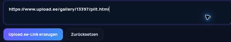 Echter Upload.ee-Link im MultiDebrid-Eingabefeld. Zum Vergrößern öffnen.