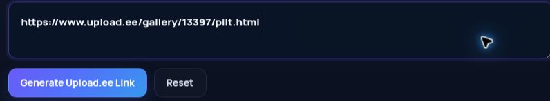 Real Upload.ee link in the MultiDebrid input. Open to enlarge.