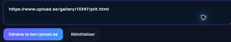 Véritable lien Upload.ee dans le champ MultiDebrid. Ouvrez pour agrandir.